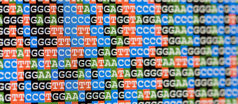 Unaligned DNA sequences viewed on LCD screen